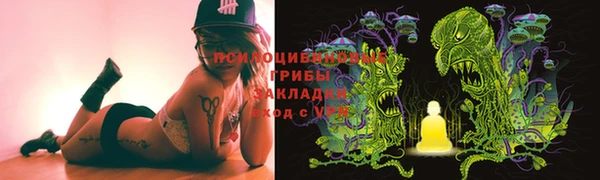 соль ск Алексин
