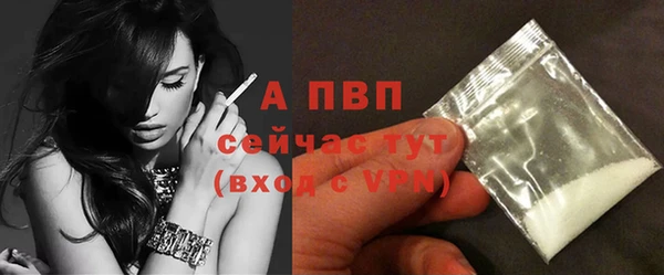 соль ск Алексин
