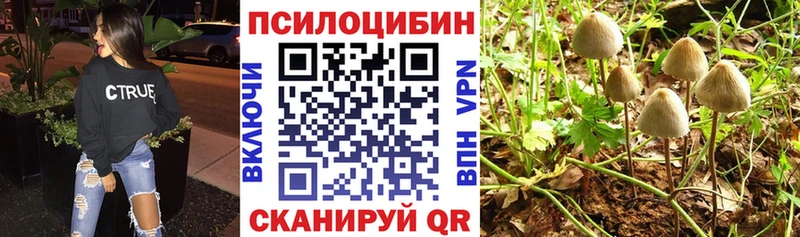 Галлюциногенные грибы мухоморы Ишим